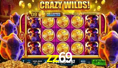 Ofertas Exclusivas zz69